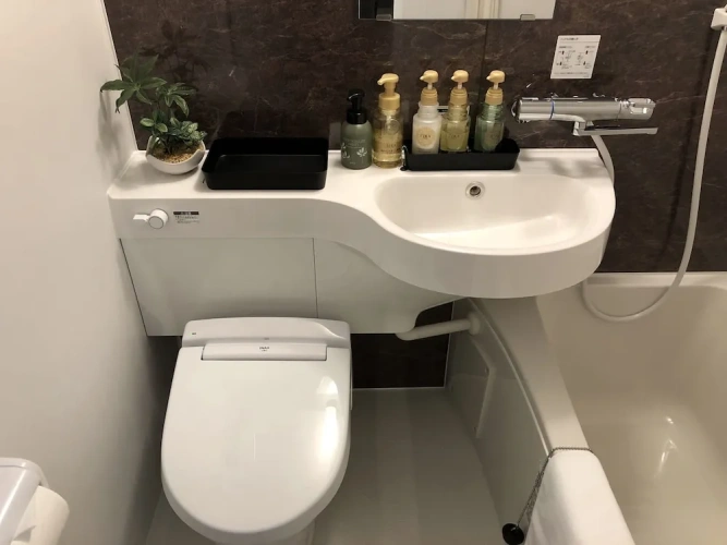 Economy Apartment