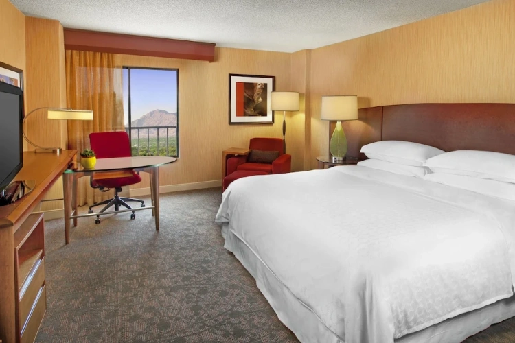 1 Bedroom Junior Suite
