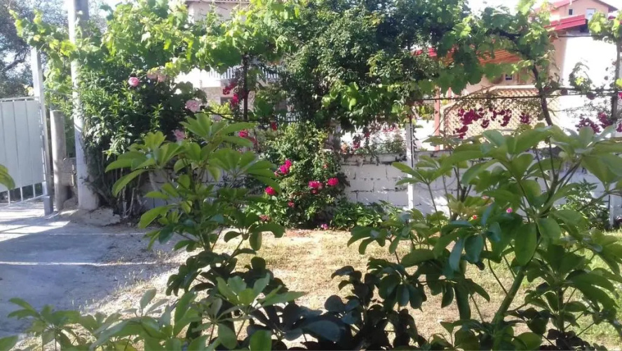 Villa 355