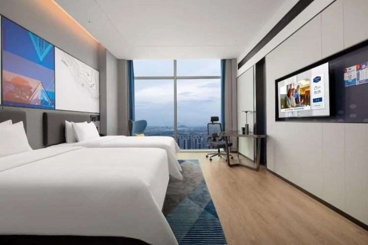 Superior Twin room with city view