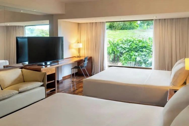 Deluxe Double room with view