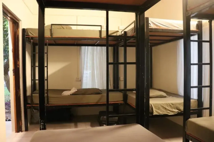 Bed in Dorm