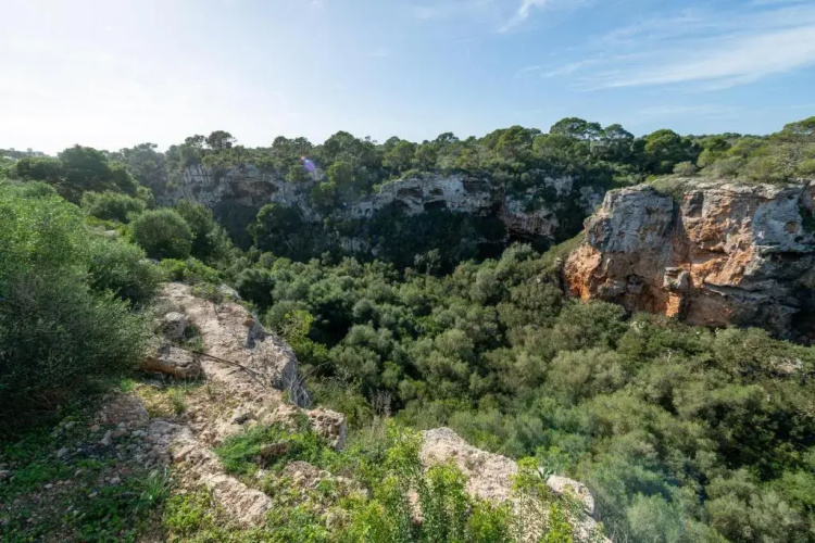 The Torrents Observer Holiday Home