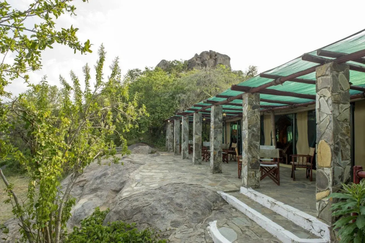 Maisha Serengeti Camps