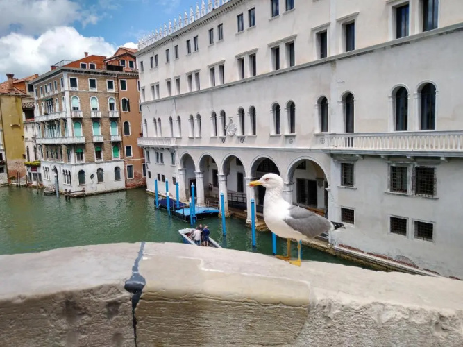 Love Island Venice