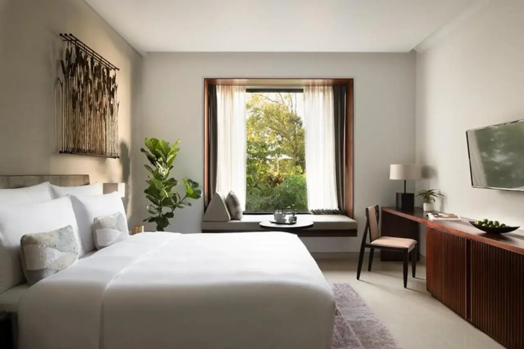 Treeline Urban Resort