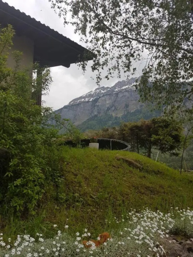 Apartment in Brienz