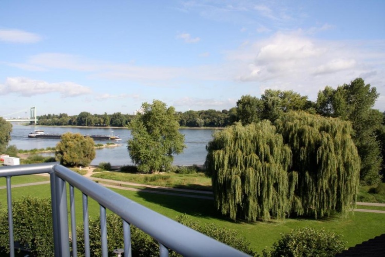Villahotel Rheinblick photo 10