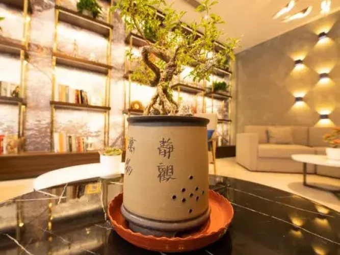 7 Days Premium (Luoyang Railway Station)
