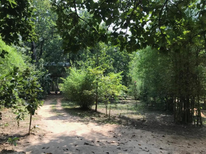 Kamp Kamouflage Kanha