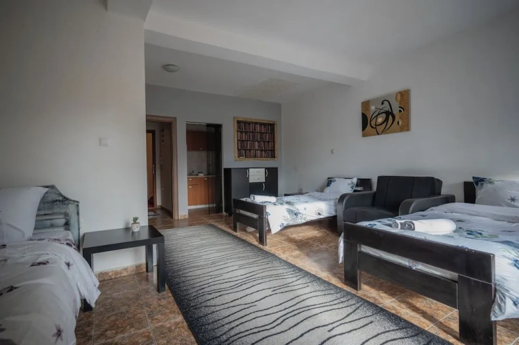 Economy Apartment