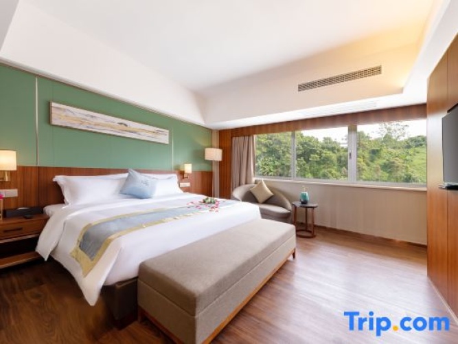 Executive Double Suite