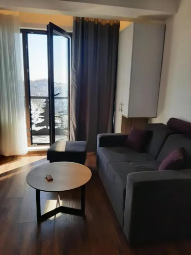 Ariš Kopaonik apartman A21