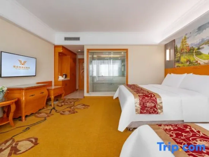 Standard Twin Family room