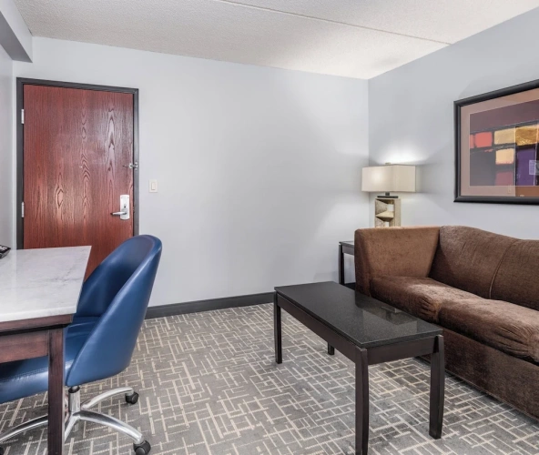 1 Bedroom Suite