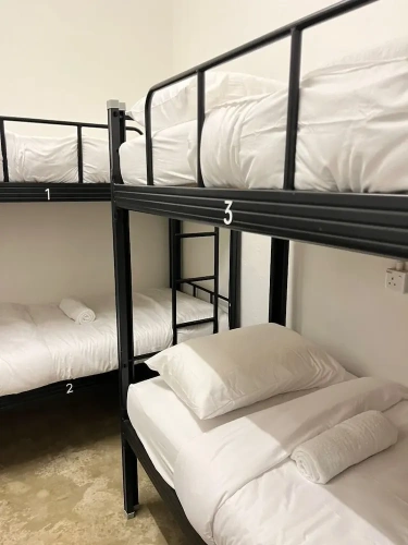Bed in Dorm (female dorm)