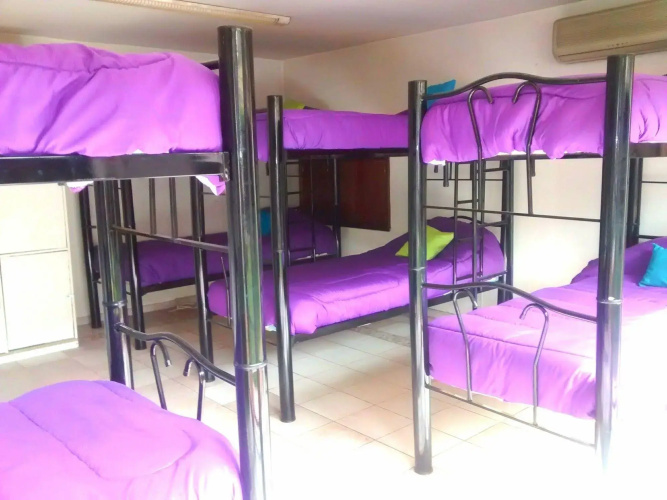 Gorilla - Hostel