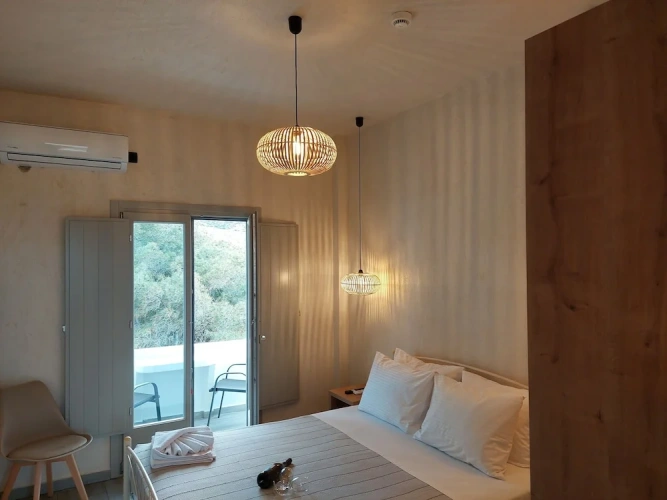 Superior room with balcony and with garden view