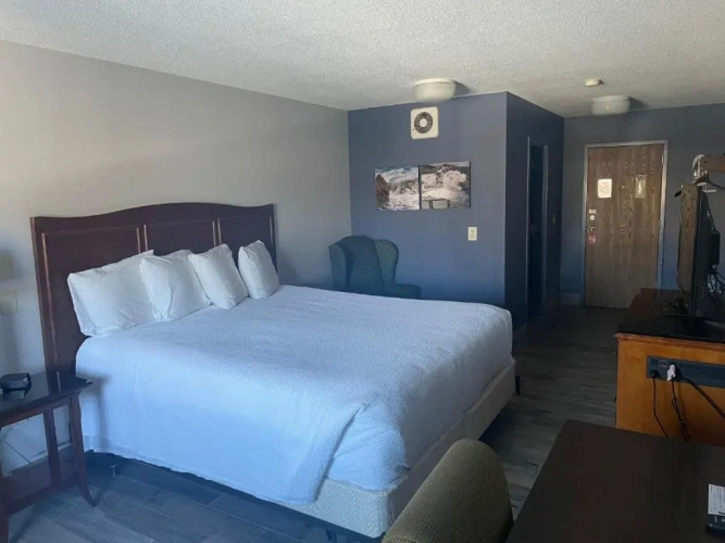 Deluxe Double Suite