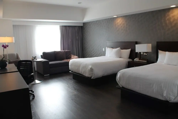 Executive Quadruple Suite