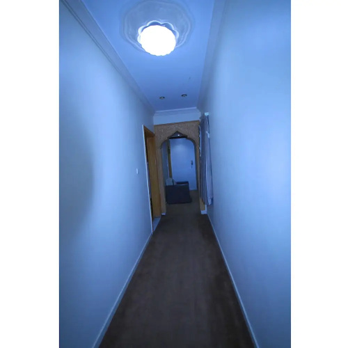 Odrest Hotel Apartments - Sary