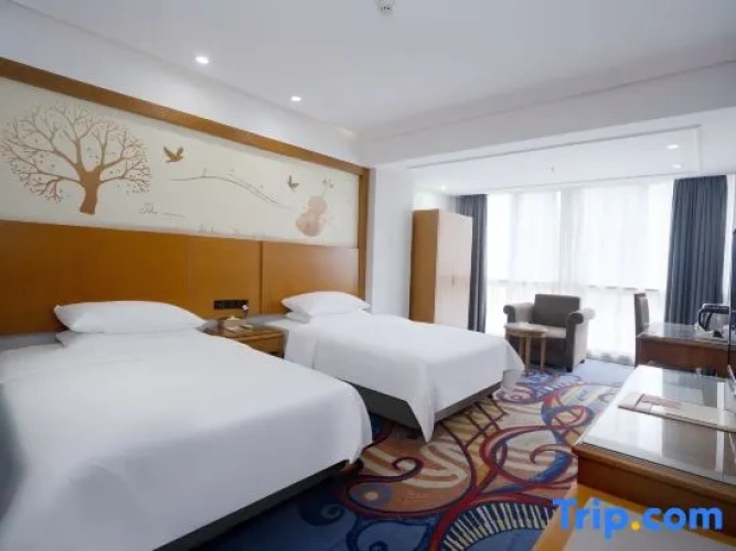 Superior Double room with city view