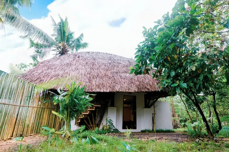 Bamboo Jungle Villas