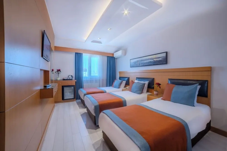 Standard Triple room with city view