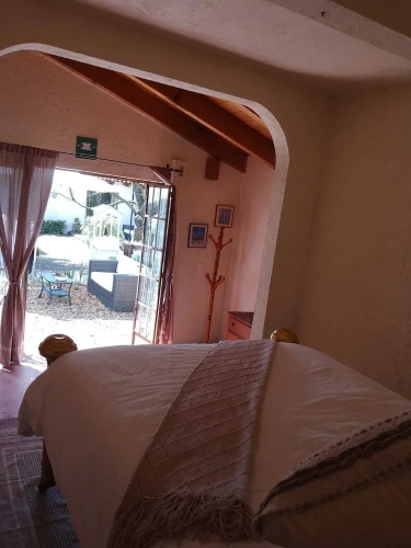 Standard Twin room with garden view