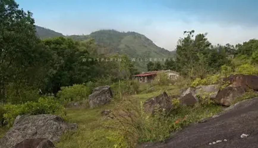 Hotel Whispering Wilderness - Sholur