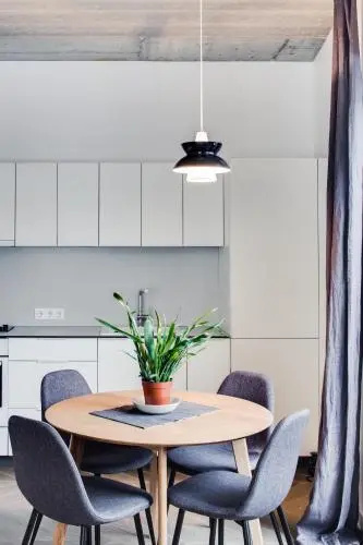 Basanaviciaus apartment