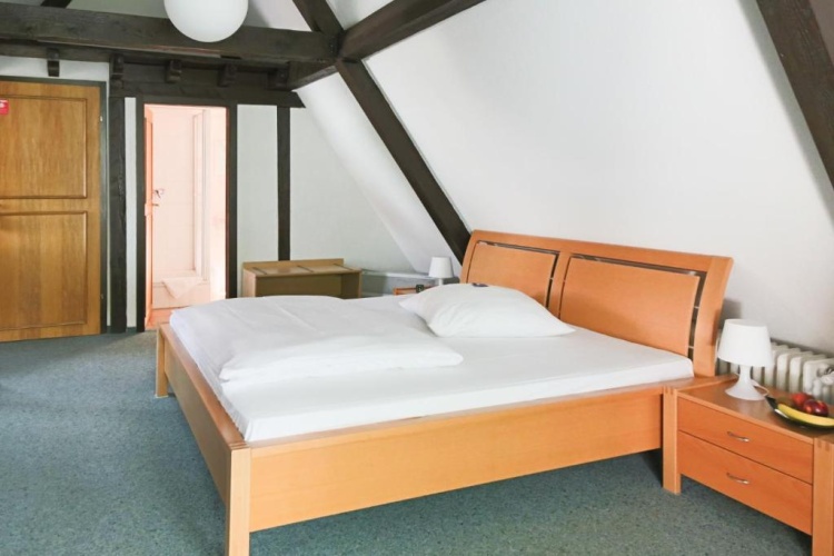 Standard Double room with balcony and with view