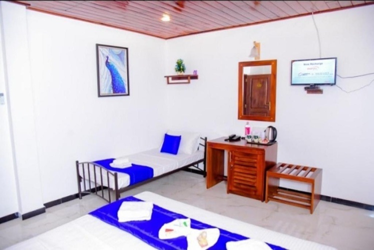 Deluxe Triple room