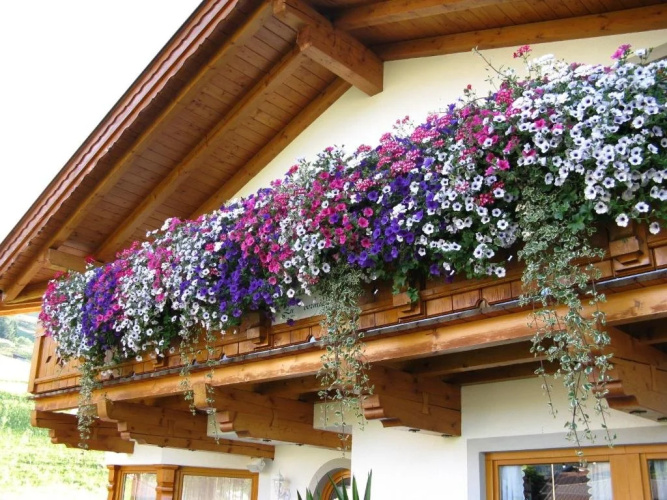 Appartments Schneezauber
