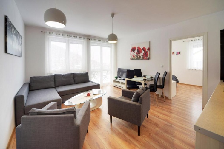 1 Bedroom Apartment