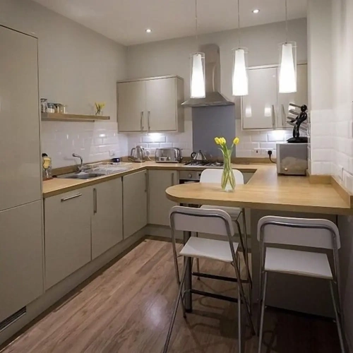 Luxury Apartment