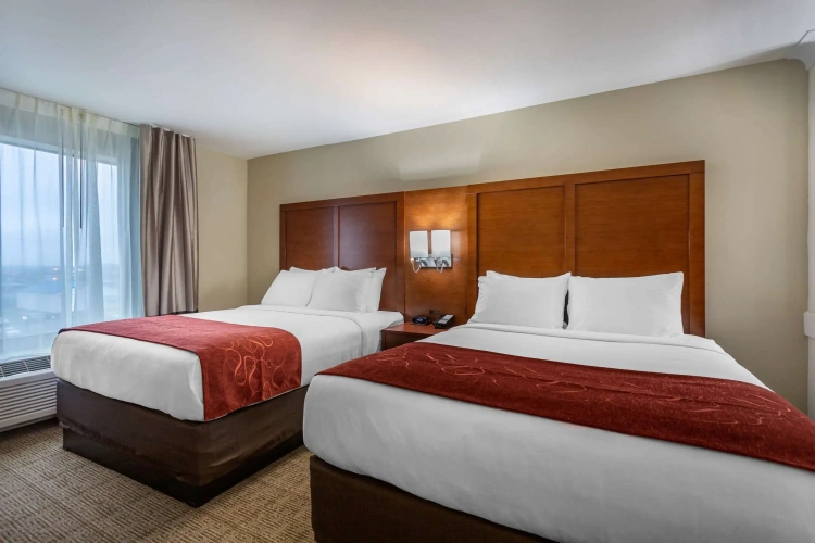 Quadruple Suite