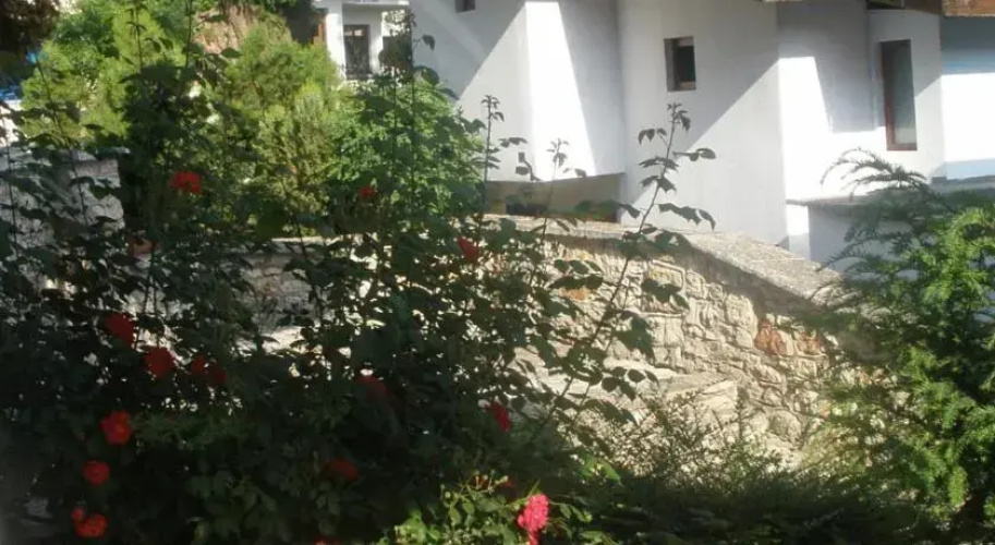 Hotel Los Dos Gallos - Dvata Petela