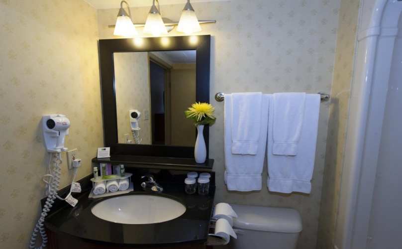 Sandman Hotel & Suites London Downtown photo 10