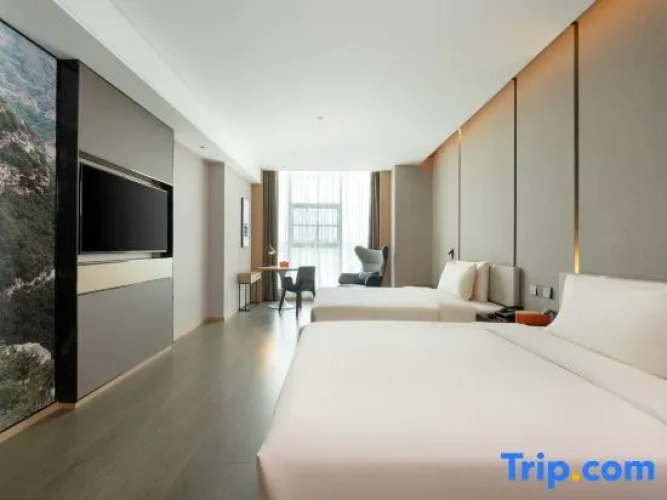 Executive Twin room