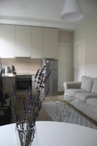 Smartflat & New apartment city center