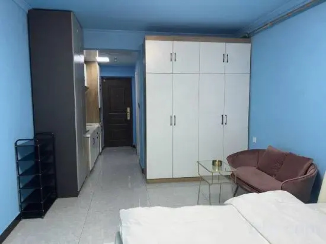 Shark E-sports Apartment