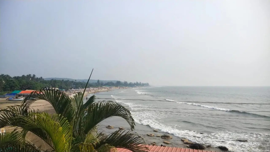 Hill Top Arambol