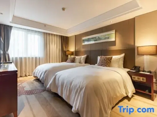 Twin Suite