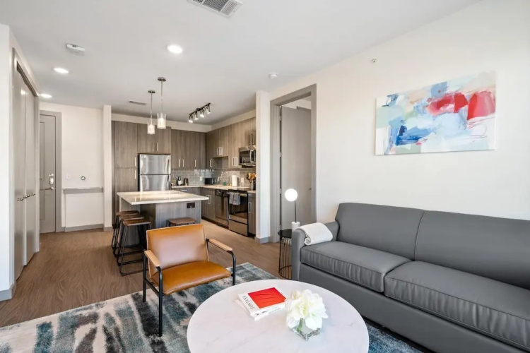 Arlington Modern 2BD 2BA Apartment