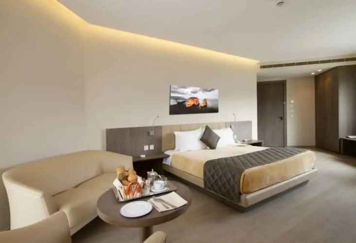 Deluxe Double room with balcony and with city view