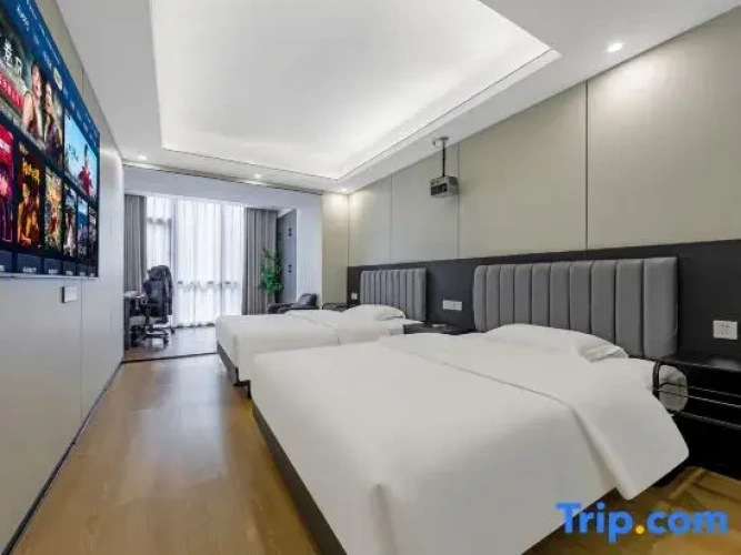 Luxury Twin room with city view
