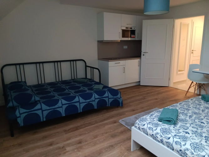 1 Br Apartment at Prague 1
