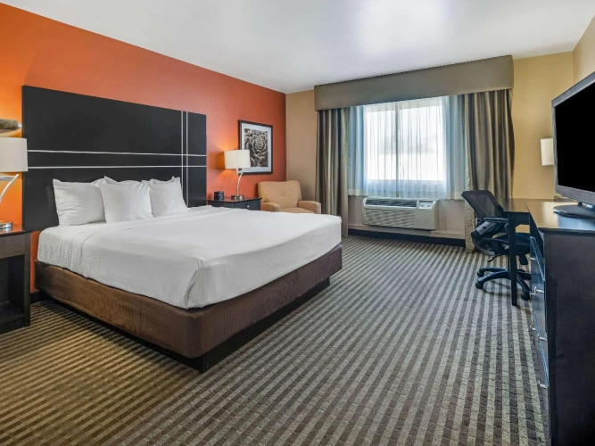 Deluxe Double room with pool view