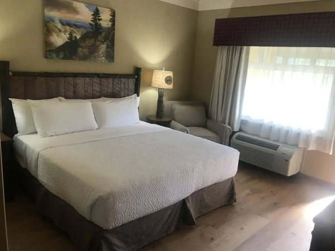 The Appy Lodge